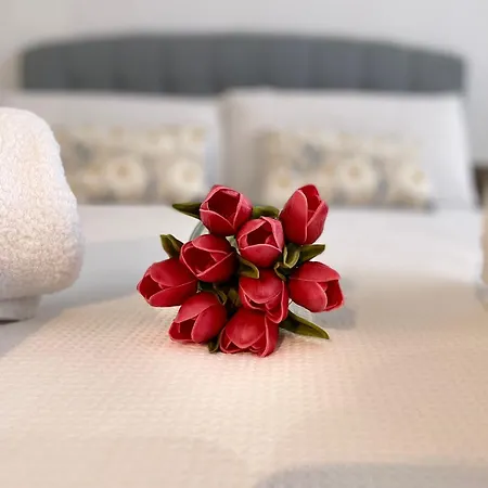 Apartment Dalia *